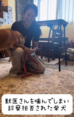 顔をうずめている犬