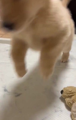 ちょっと低いけど渾身のジャンプ！！