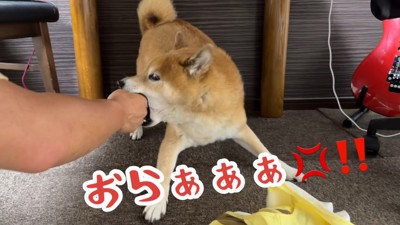嫌すぎて激怒!