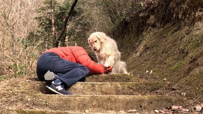「大丈夫？」と手をツンツン
