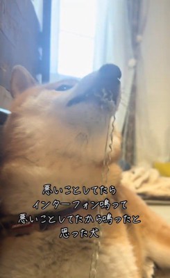 イタズラ中のぬん君4