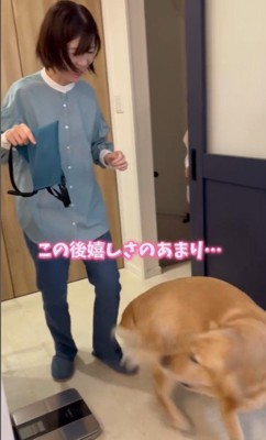 モコちゃんとお姉さんの再会4