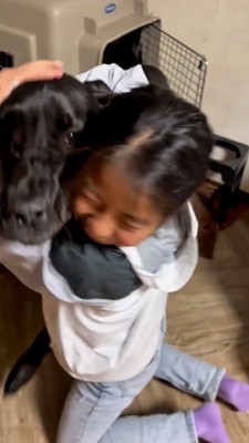 女の子に飛びつく黒い犬