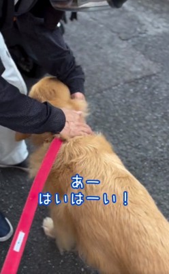 おざなりなゆずくん