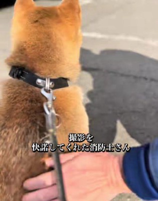 体をなでてくれた!!
