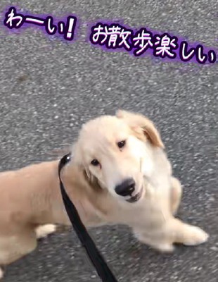 すぐに慣れちゃった♪