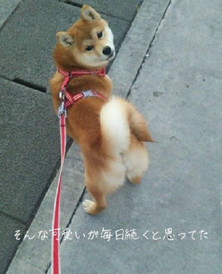 あれ?雲行きが怪しい…