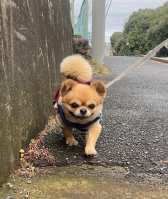 笑顔はとってもチャーミング!!