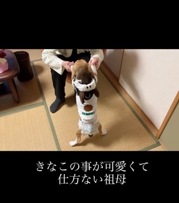犬の前足を握るおばあちゃん