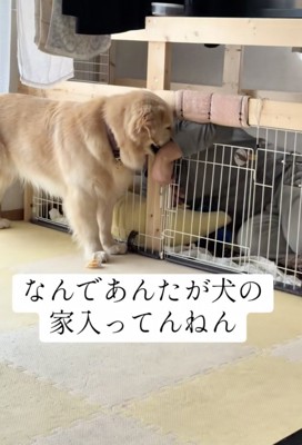 圧をかけていきます