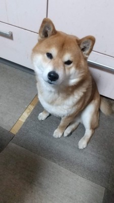 クミの投稿画像
