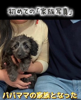 幸せを掴んだオレオくん3