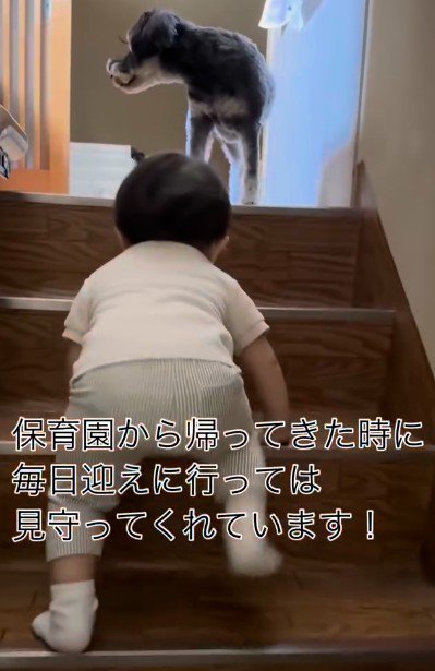 微笑ましい光景でした