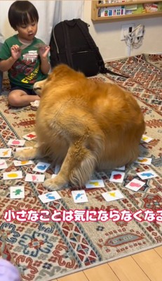 マックスくん＆ロイくんと育った男の子2