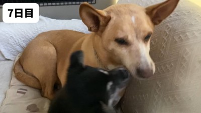 社会指導真っ最中!