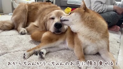 2匹はとっても仲良し