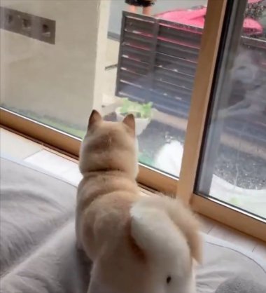 早く
