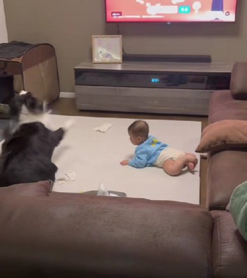 驚いてズッコケるこり男くん