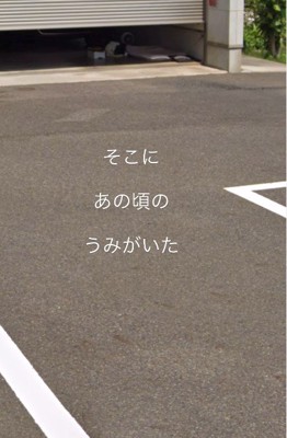 今は亡き愛犬の姿が…