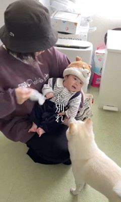 おまめちゃんと赤ちゃんの別れ