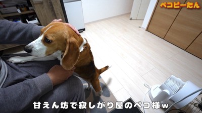 3分で舞い戻ってきました!