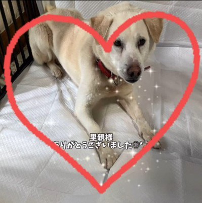 三郎くんが幸せを掴むまで⑩