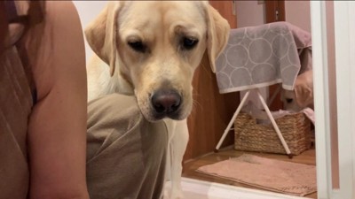 まるで母みたい…!