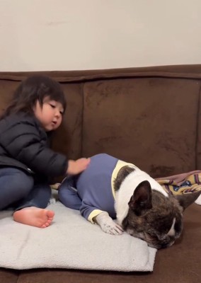 散歩拒否の丸男くん