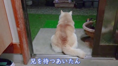 「まだかなあ…」