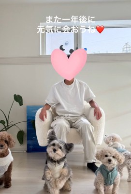 お兄ちゃんと4匹のワンコ