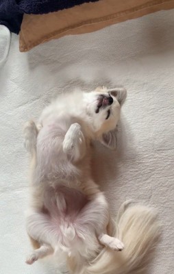 現在のアム君の様子2