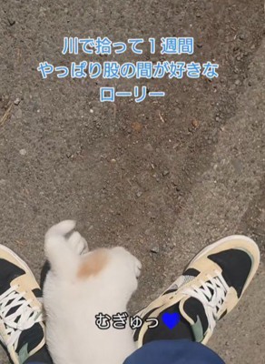 甘えん坊なローリーちゃんでした♡