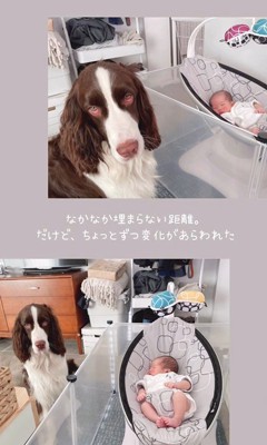 ププくんと娘さん3