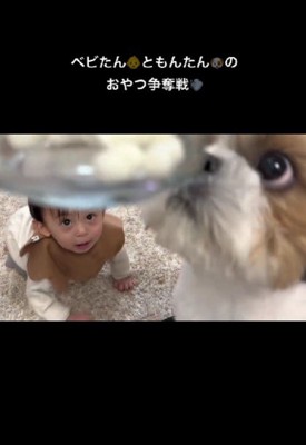 ママからおやつ