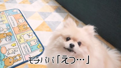 モチちゃんを巡る争い10