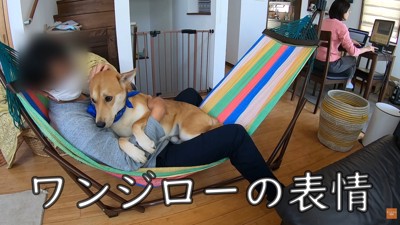 不安そうなお顔