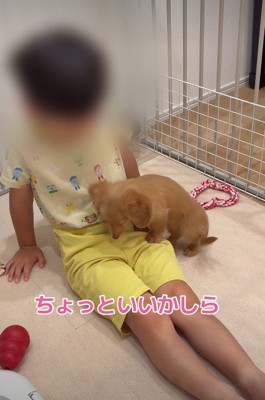 ここが安心する場所