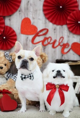 かけがえのない相棒に!