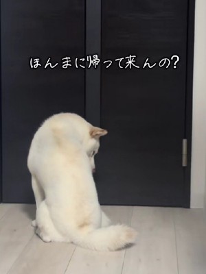 「ほんまに帰ってくんの?」