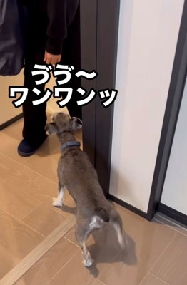 吠える犬