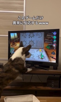 ゲームに興味津々のググくん3