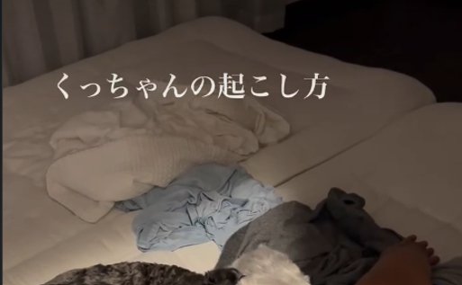 犬の頭