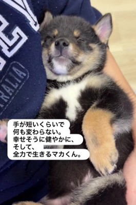 これからも幸せにね