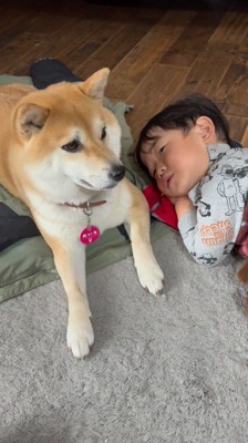 床に横になっている男の子と、隣に座る犬