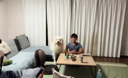 ふたりの絆にホッコリ