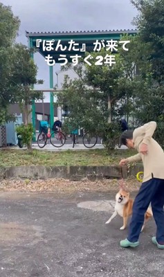 ぽんた君の変化