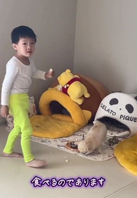 リンゴを食べるうにちゃん