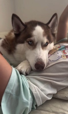 お姉ちゃんに甘えるウルくん