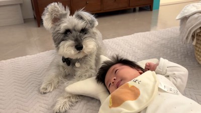 頼もしいベビーシッター
