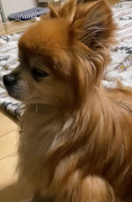 「毎日幸せだなあ…」